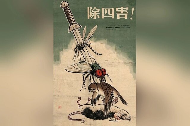    Фото: ru.wikipedia.org