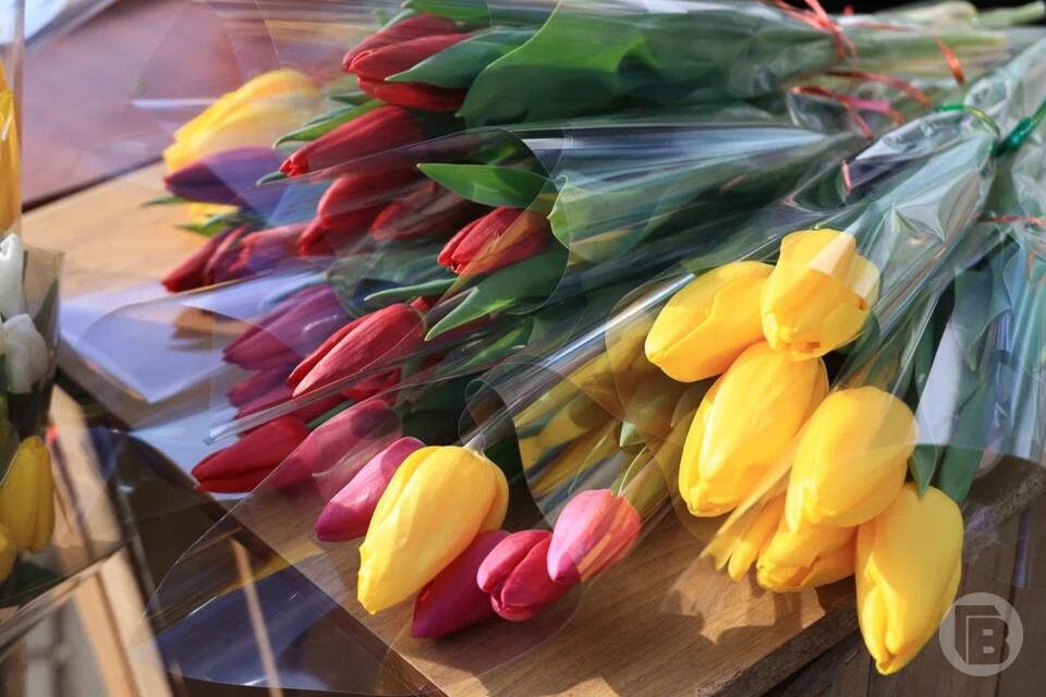    Фото: Дмитрий Рогулин/"Городские вести"