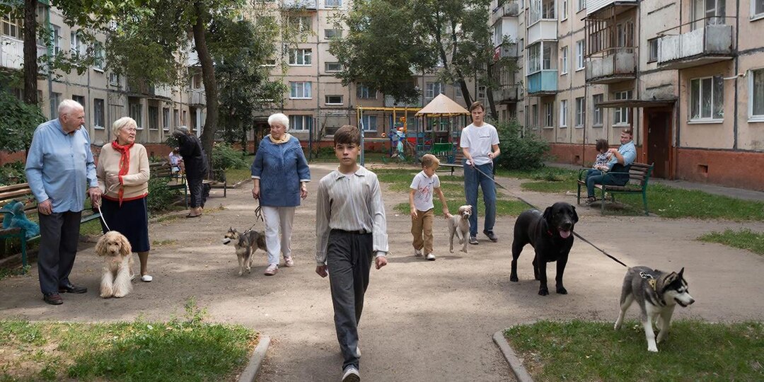 Собачники "заминировали" весь двор. Стыдная беда – некуда жаловаться, а сил терпеть больше нет