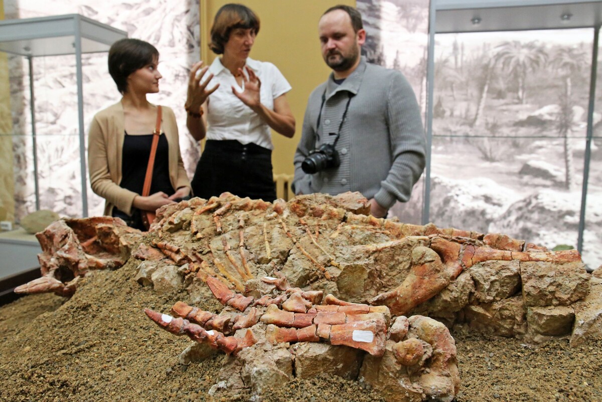    Рашит Салихов