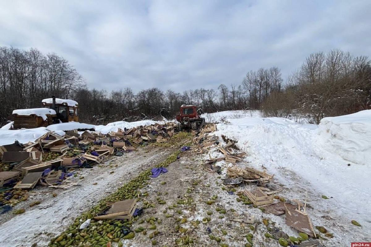    Фото: пресс-служба Северо-Западного межрегионального управления Россельхознадзора