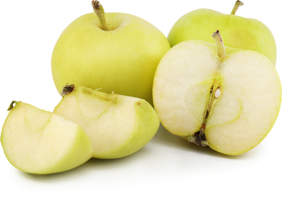 Не наливные яблоки сорта «Белый налив».