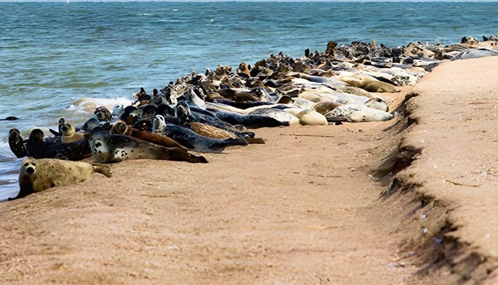    Фото: Росприроднадзор