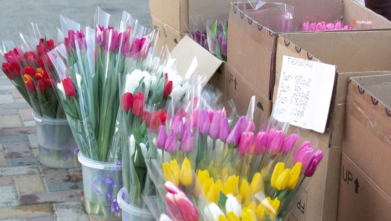      Фото: Валерия Алтухова / / ИА «Победа26»