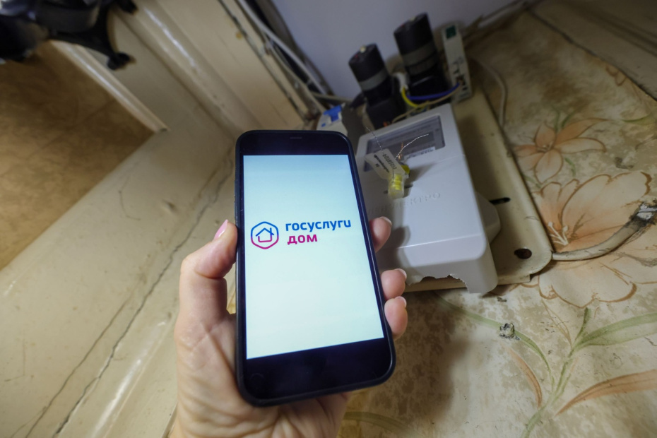    Наталья Шатохина/NEWS.ru