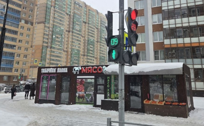    © Заневское городское поселение