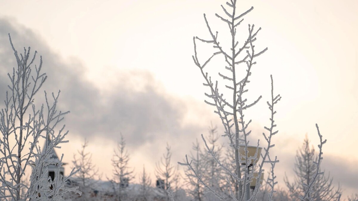    Фото: Сергей Зубков/«Ямал-Медиа»