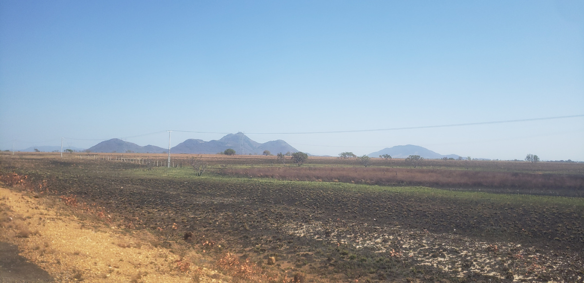 Дорога в Венесуэлу