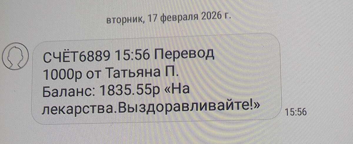 Фото автора (старый телефон).