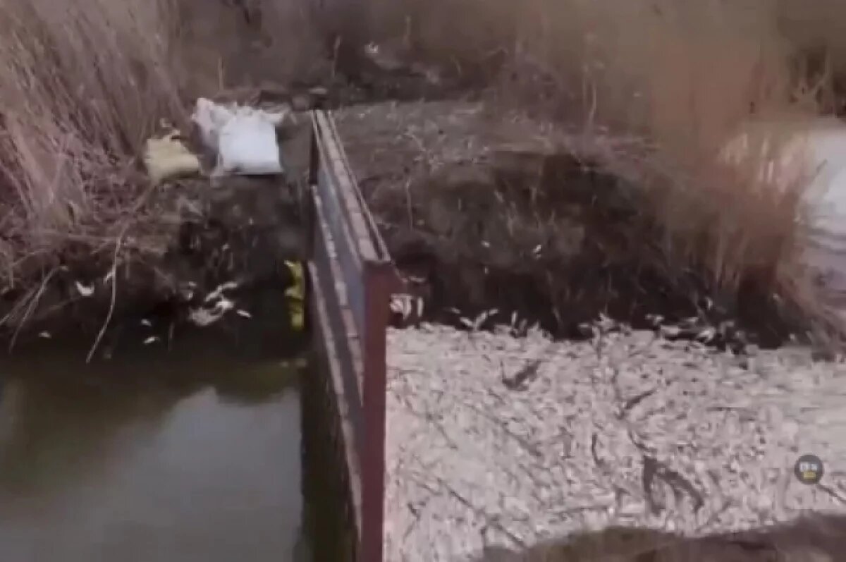    Та самая перегородка, которая, как утверждают рыбаки, и послужила основной причиной мора рыбы.