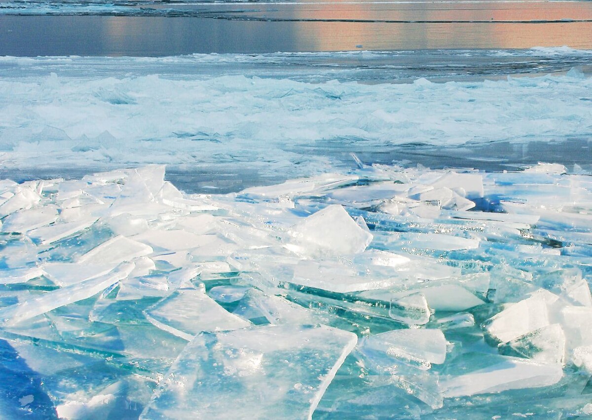     / Источник: © Global Look Press