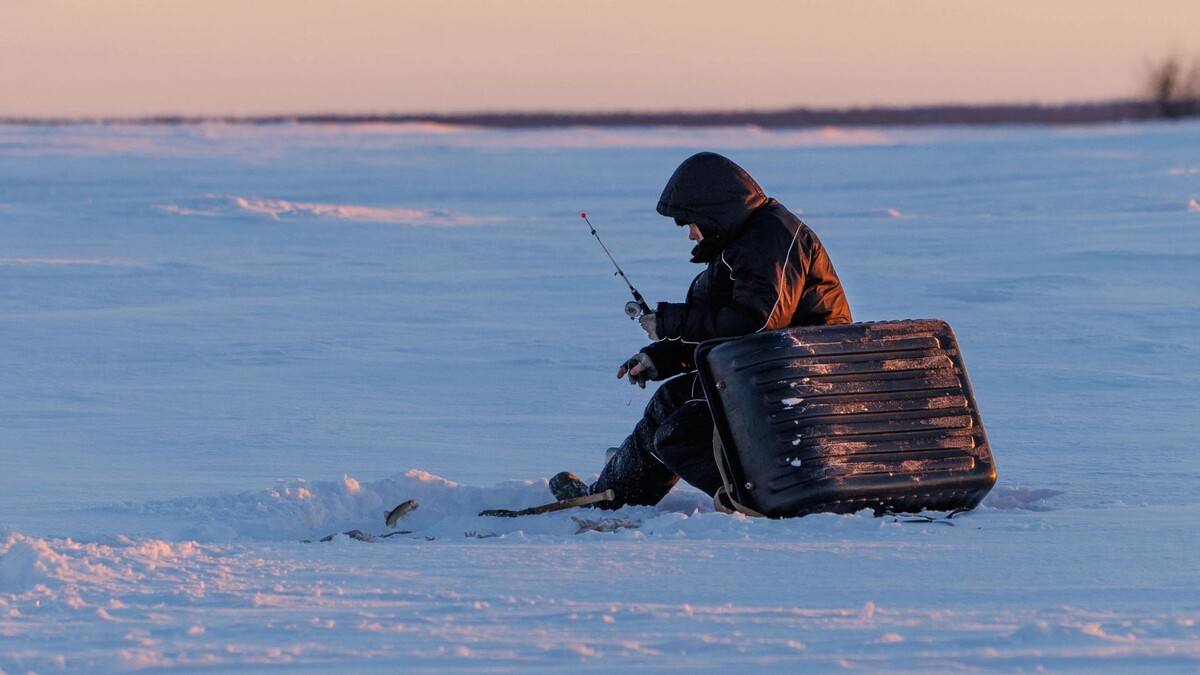    Фото: Федор Воронов / «Ямал-Медиа»