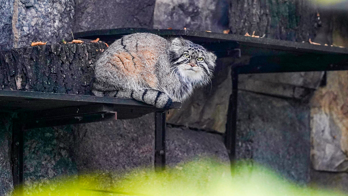 Александр Авилов/Moskva Agency