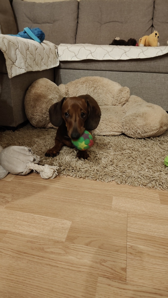 Я решила провести эксперимент под кодовым названием «День симулянта»