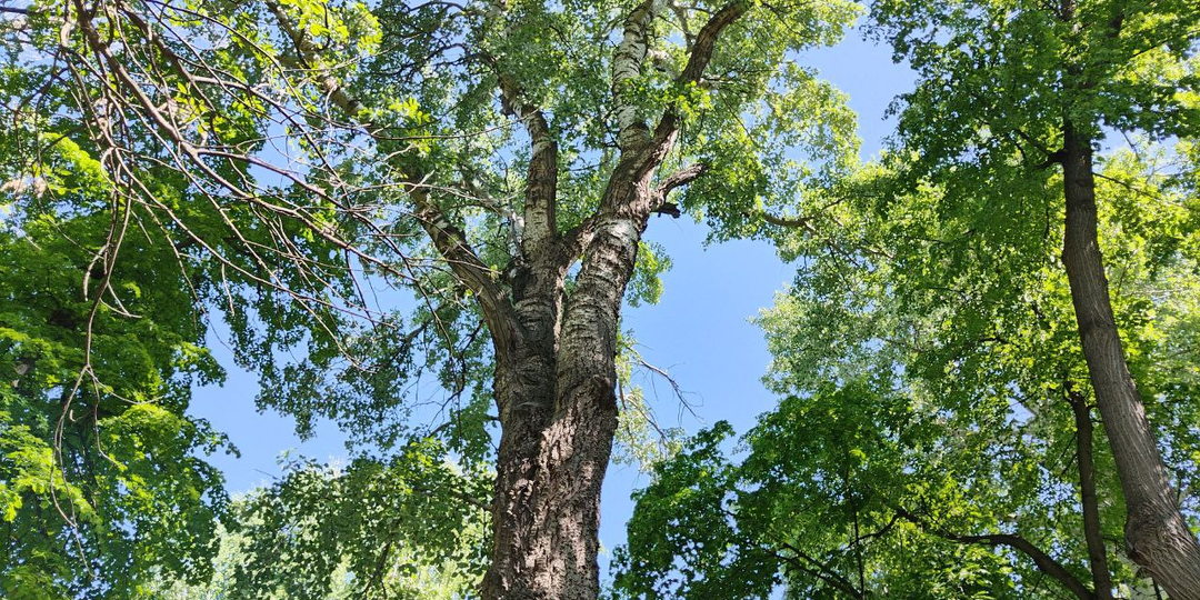 Тайна любовницы. Глава 22.