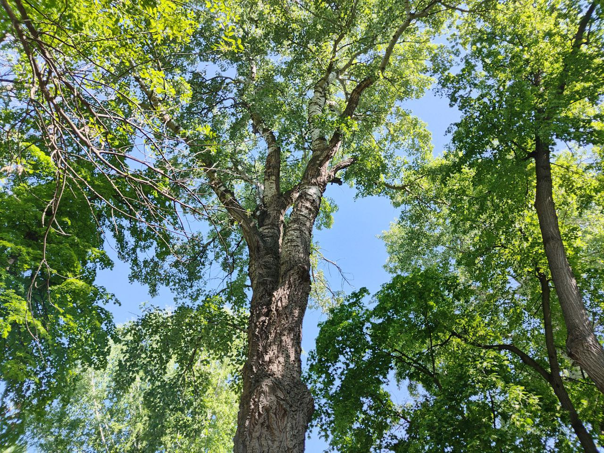 Фото автора.