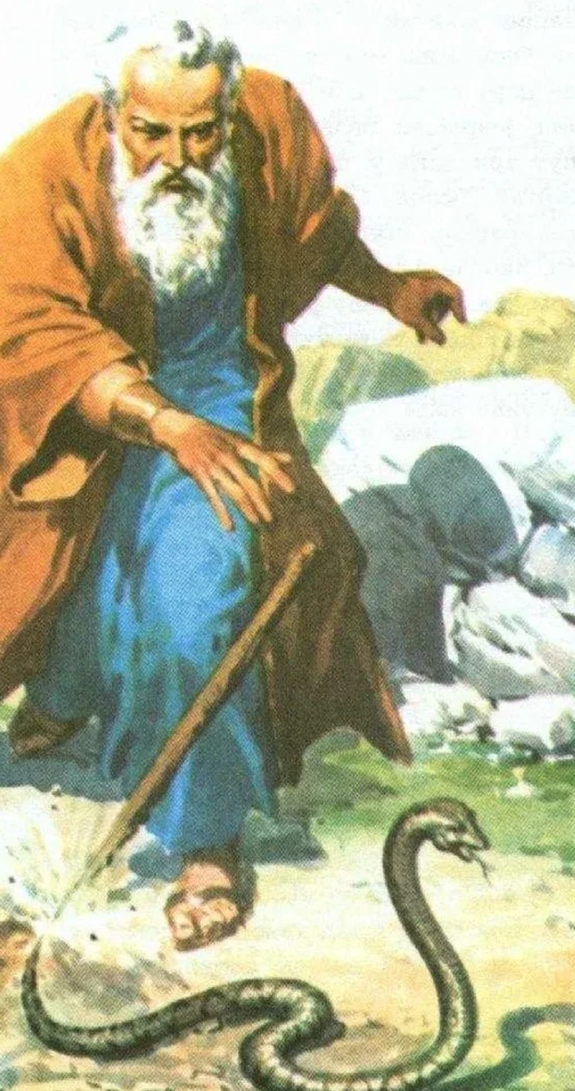 Из открытых источников