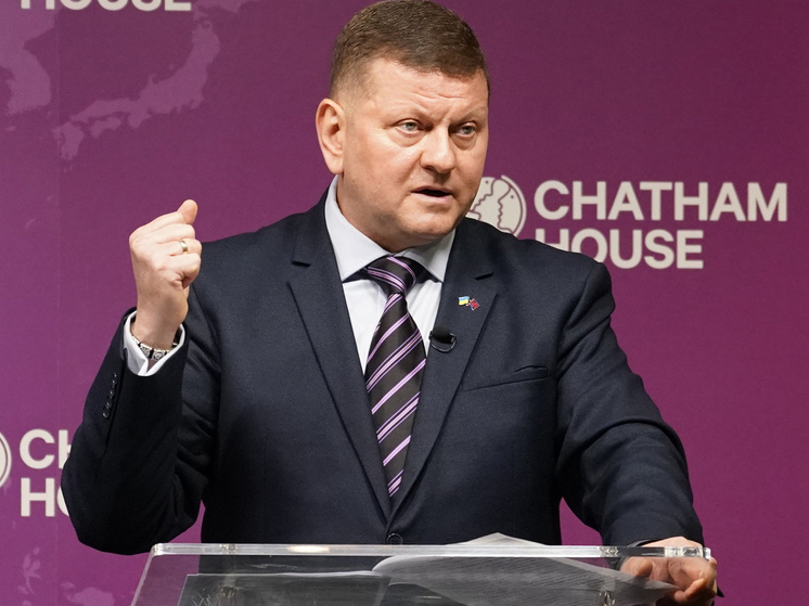     Валерий Залужный. Фото: AP.