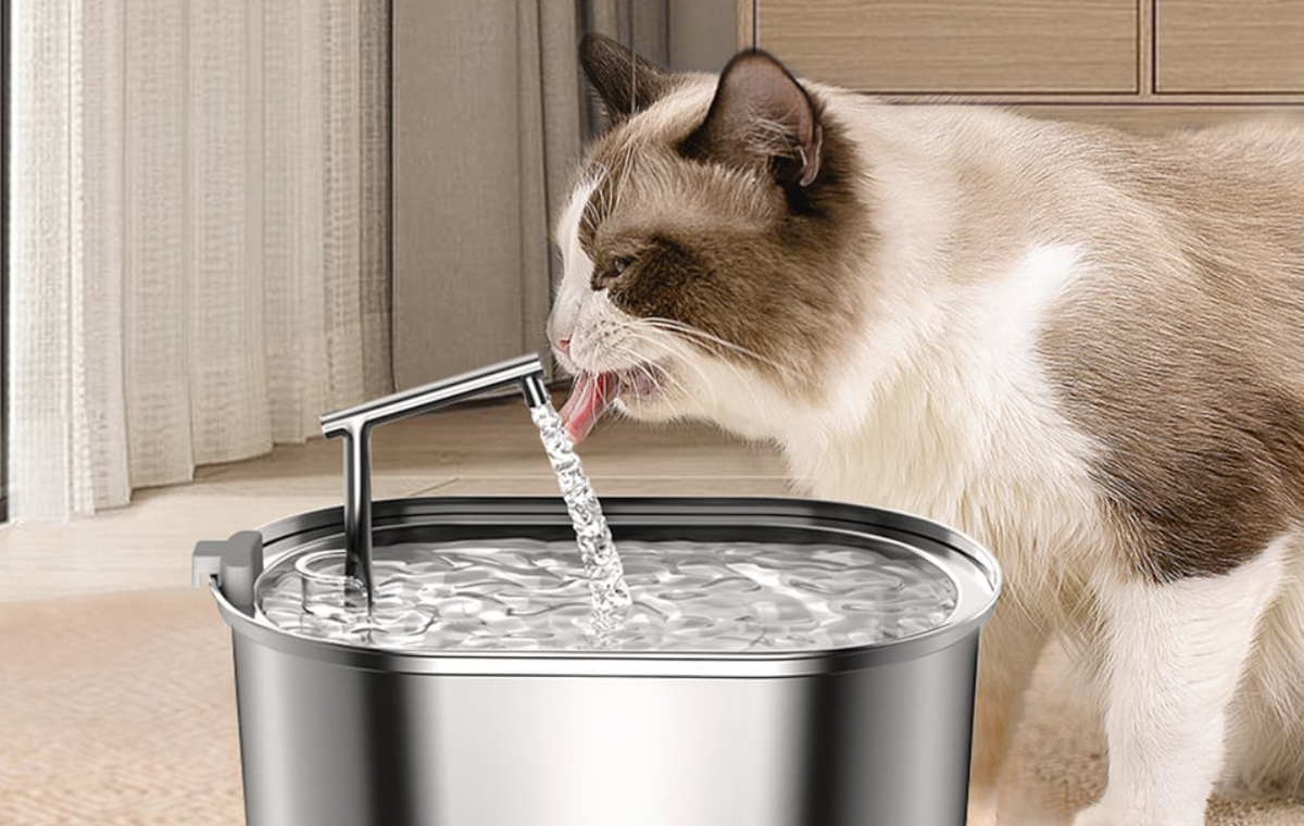 Всё о воде для кошек: как выбрать лучший вариант и чего опасаться