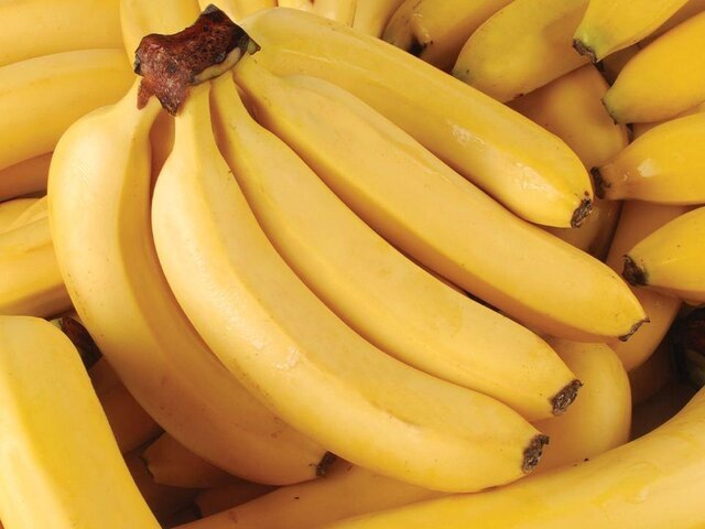    Фото: depositphotos/MSeN