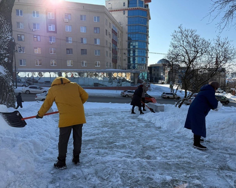    В Курске сотрудники областных министерств присоединились к уборке снега