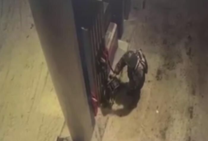 Обложка © Telegram / Ирина Волк