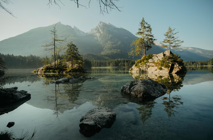Фотография в отгрытом доступе