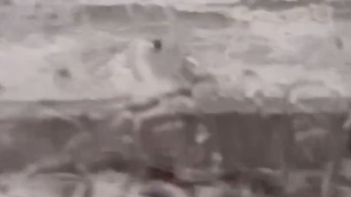    Фото: Скриншот видео / 112 / Telegram