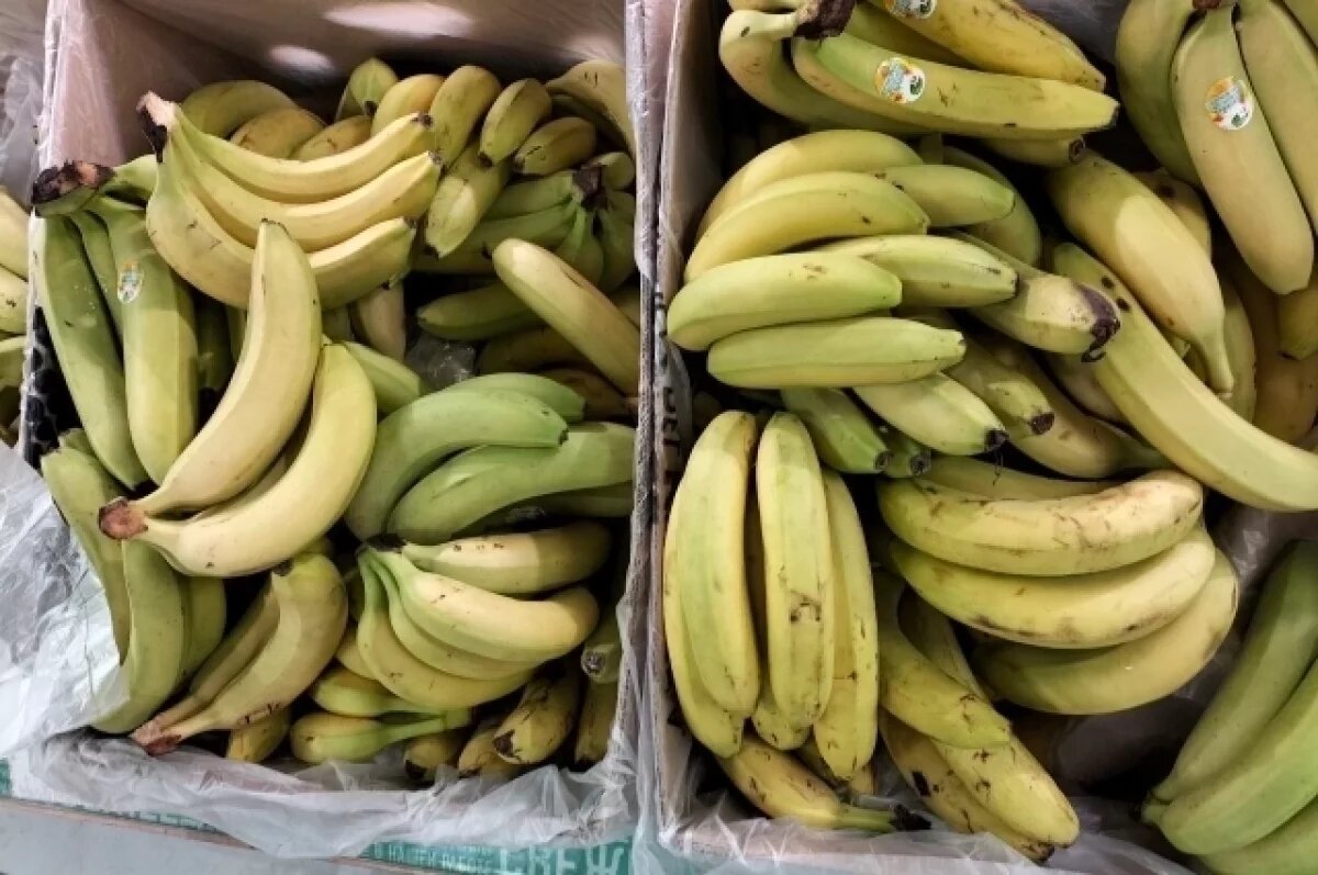    Росстандарт разъяснил правила ввоза бананов по новому ГОСТу