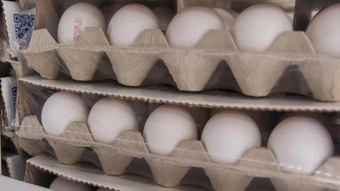 Обложка © Life.ru