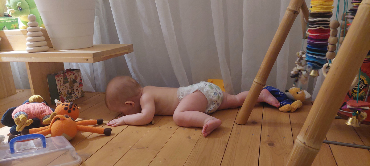 Даже подиум грызть пытается 😁