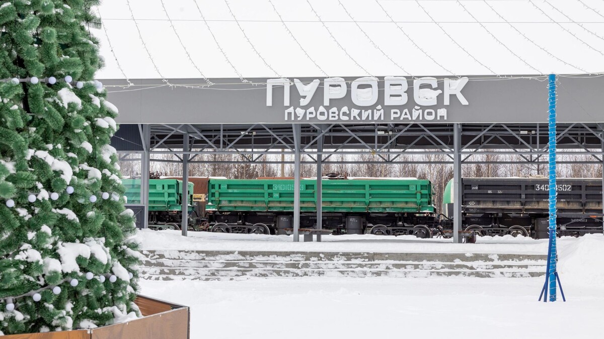    Фото: Федор Воронов / «Ямал-Медиа»