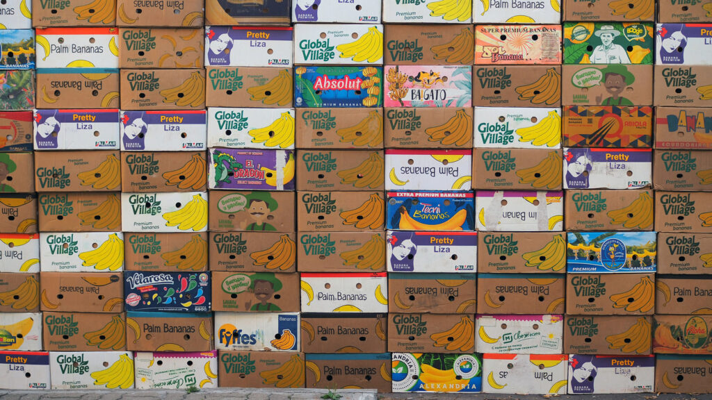 Arkadi Kotanjyan. «Баннановая галерея» © Фото: Евгений Наумов