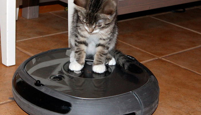 Робот-пылесос может исправно выполнять свою работу и при этом шпионить за вами. Фото: wikimedia.org