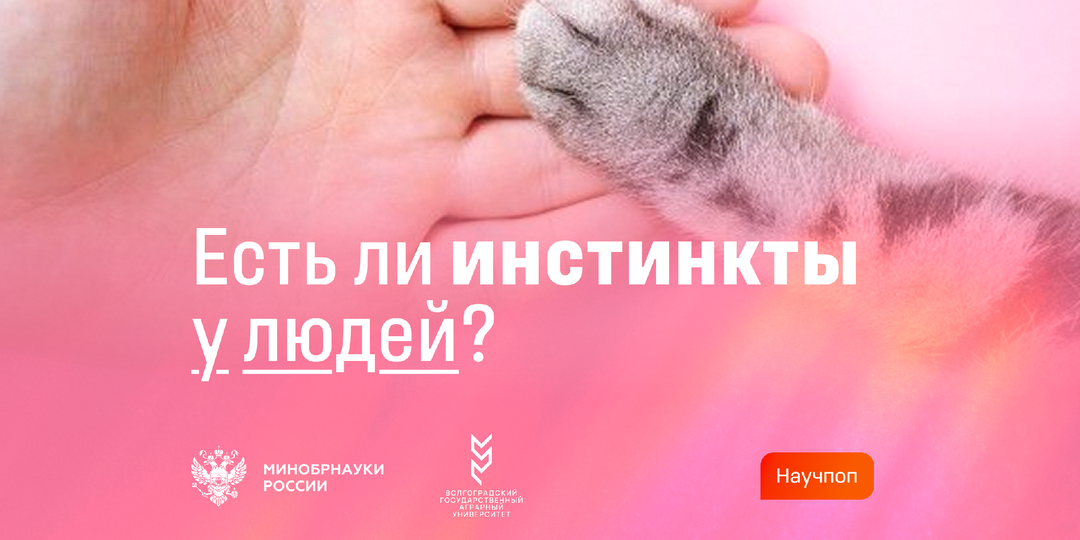 Есть ли инстинкты у человека?