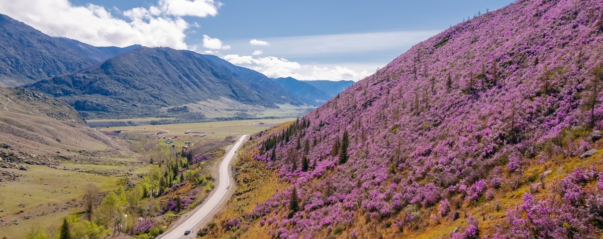 @Parilov/Shutterstock