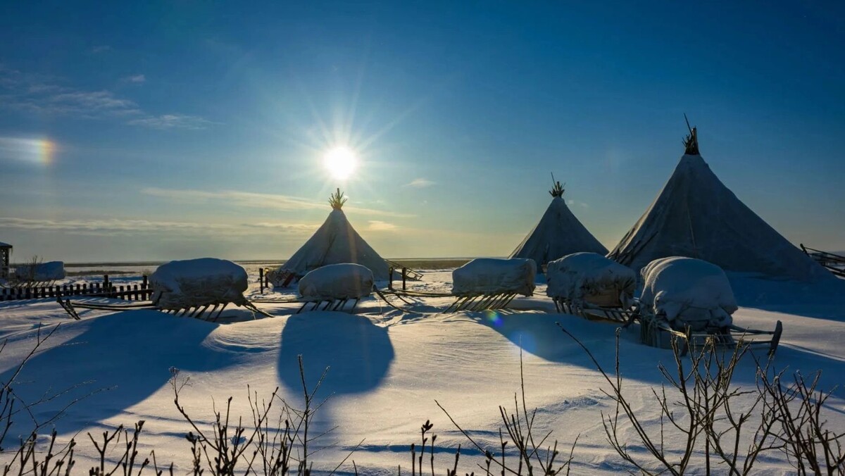    Фото: Фёдор Воронов / «Ямал-Медиа»