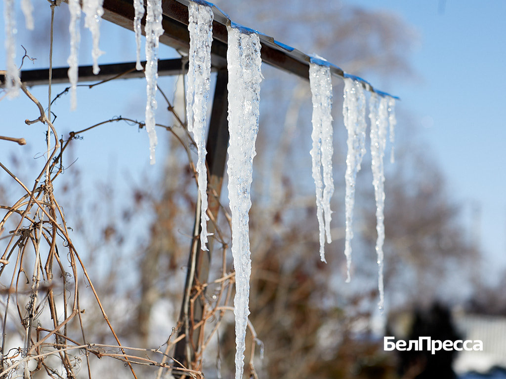     Фото: Елена Журавлёва