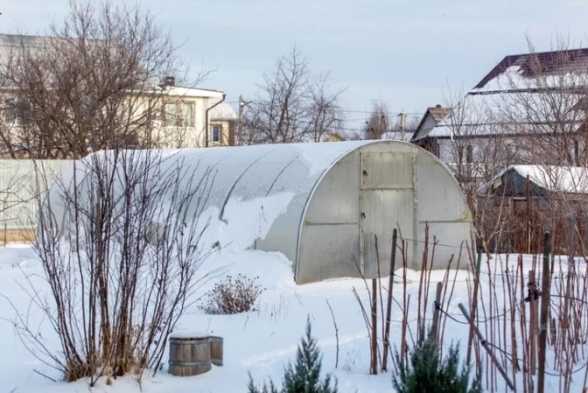    СНТ платит налог из взносов, которые члены обязаны вносить по закону.