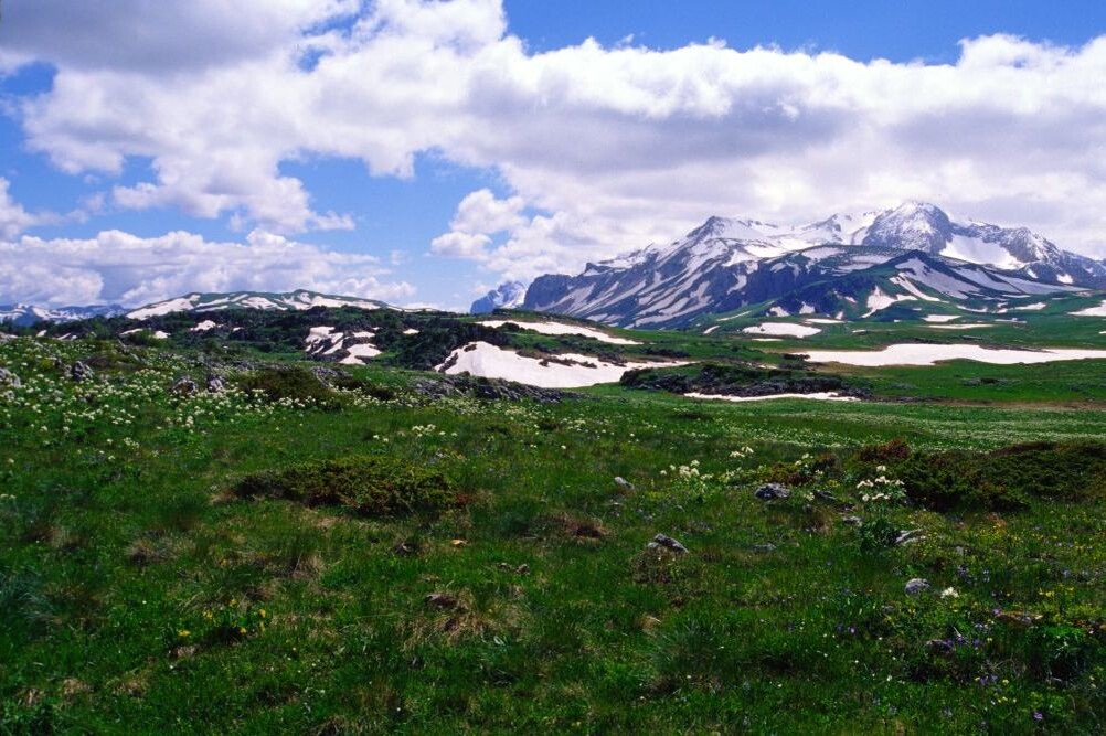 Кавказский государственный природный биосферный заповедник. Автор: Добыча полезных ископаемых. Лицензия: CC BY-SA 4.0.