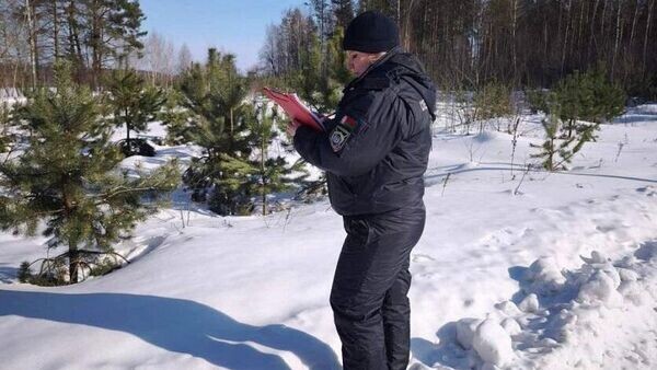    © Telegram / Следственный комитет Беларуси