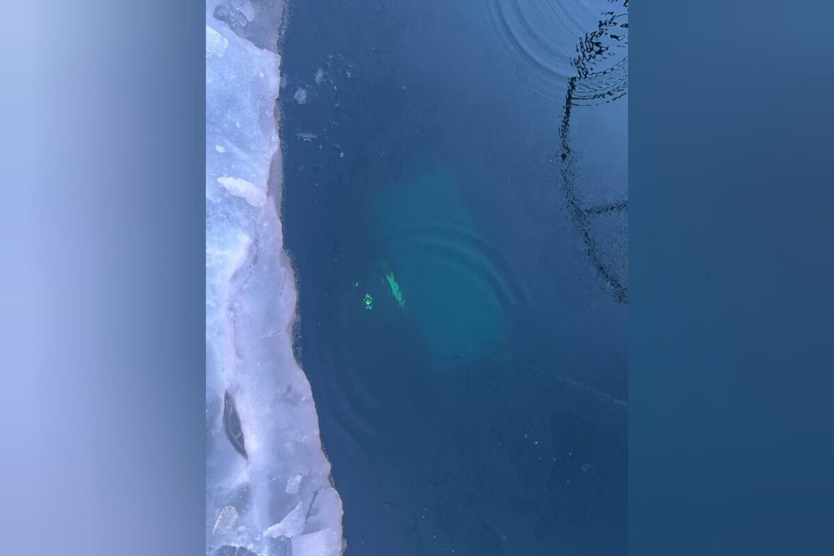     / Источник: МВД РФ