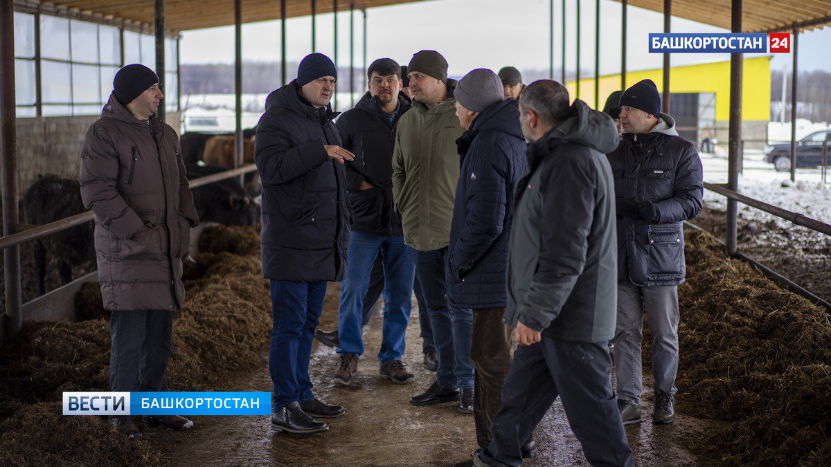    В Иглинском районе заработал современный фидлот для откорма КРС