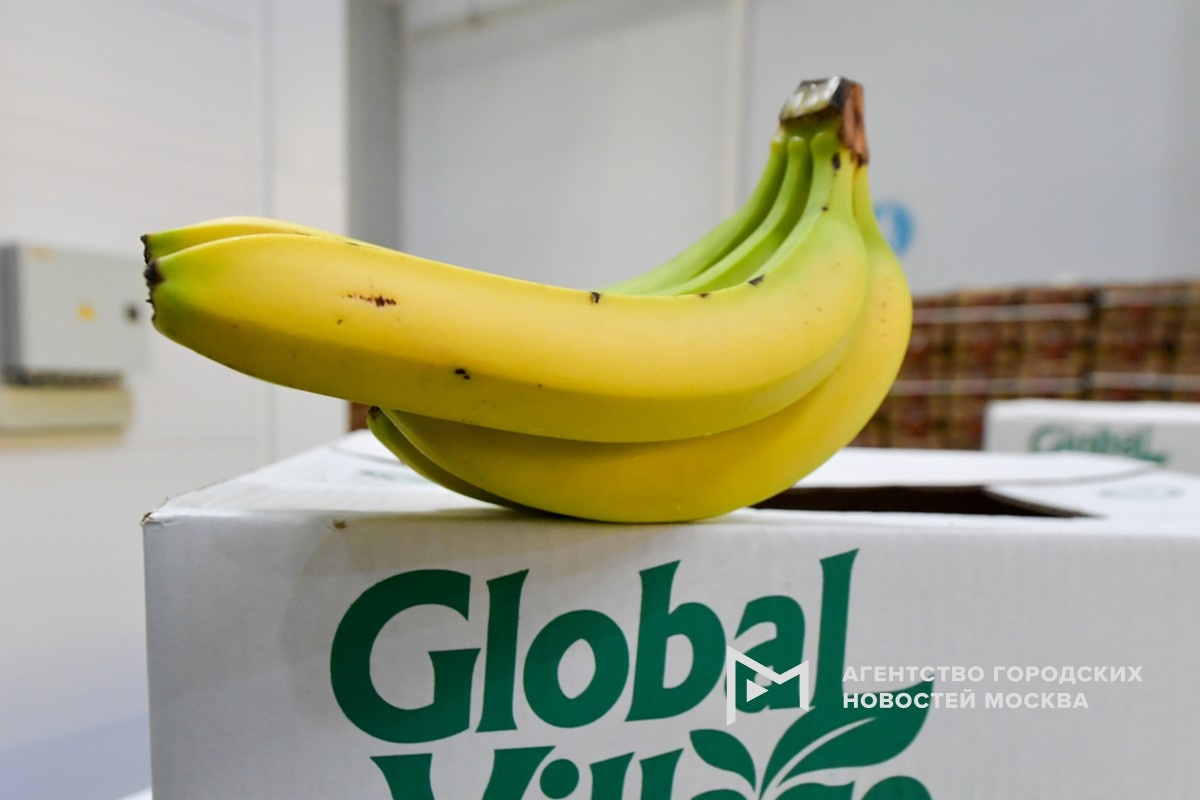 Фотограф: Сергей Киселев