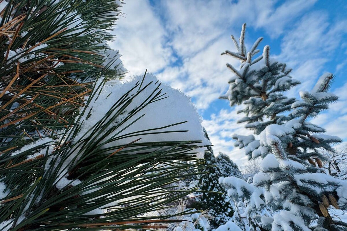  © Мария Амелина, Times.by