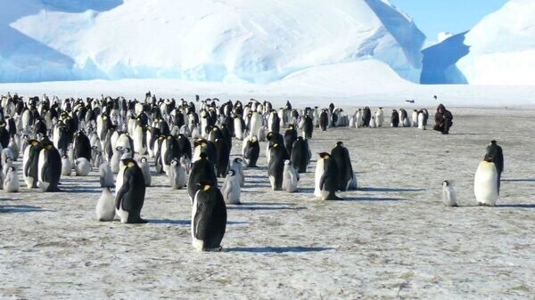    © Photo : Сергей Торбик
