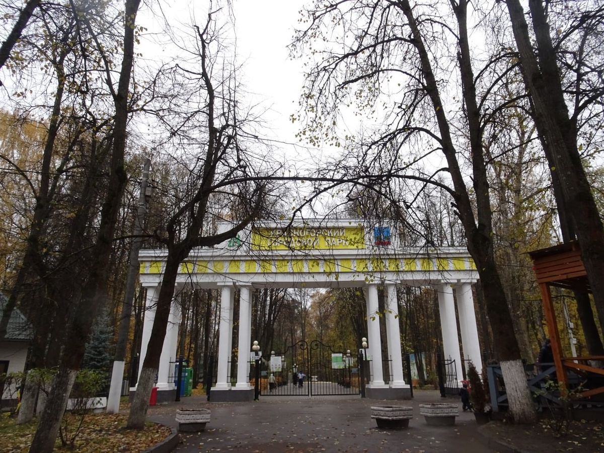 Арка у входв в Городской парк с северной стороны