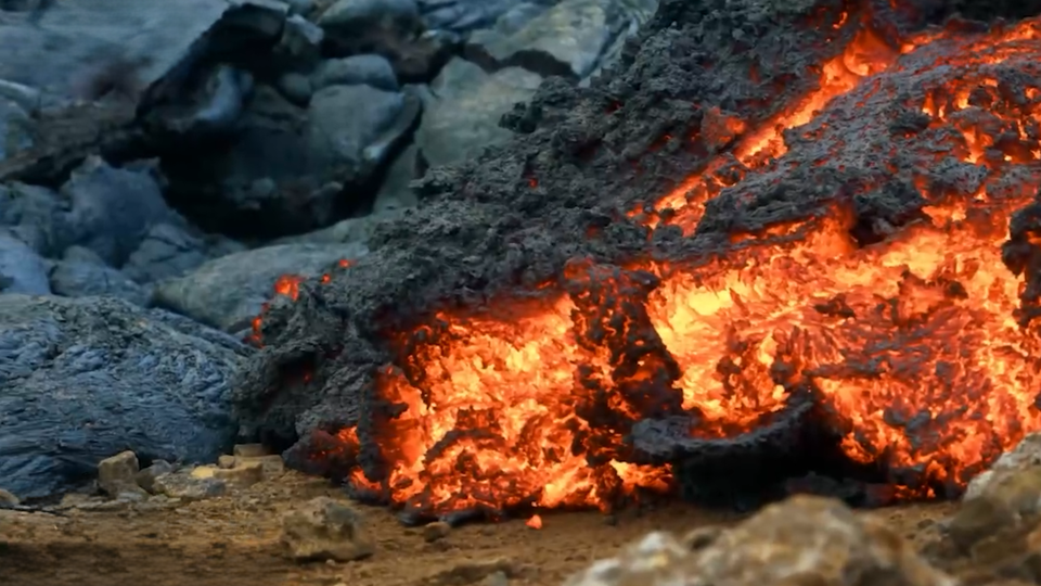 ФОТО: Кадр из программы "Как устроен мир", РЕН Т
