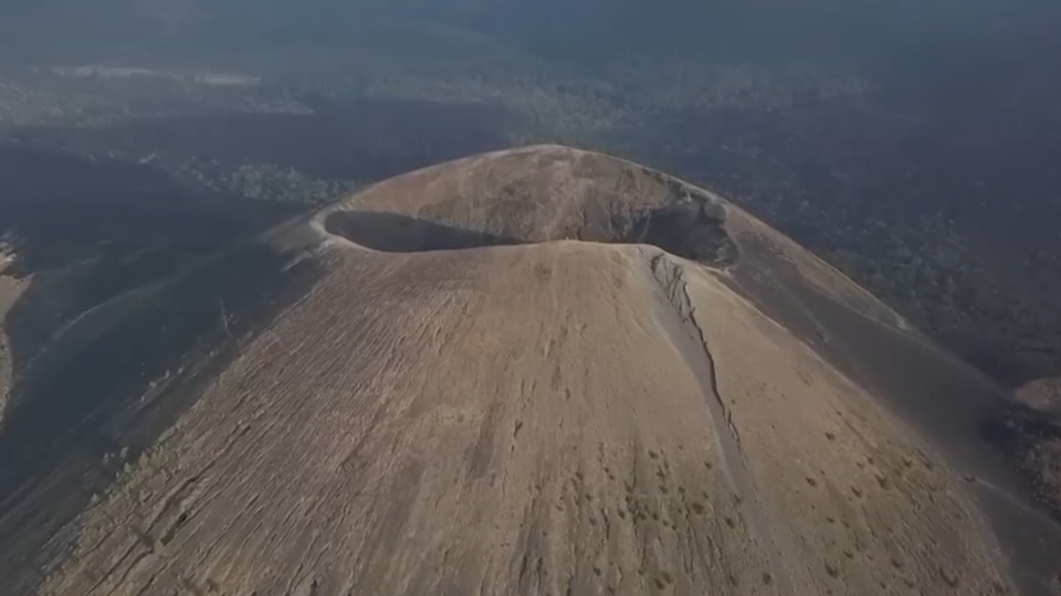 ФОТО: Кадр из программы "Как устроен мир", РЕН ТВ