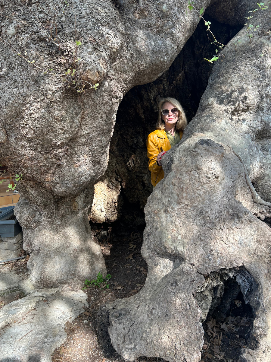 Очень метафорическое фото «до»: где я (апрель 2025)